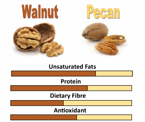 What Is The Nutritional Difference Between Walnuts And Pecans Healthbbc 
